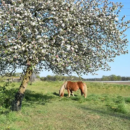 Kreativhof Lehmberg