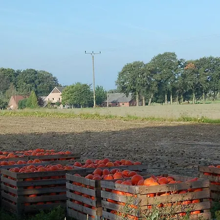 Kreativhof Lehmberg Farma